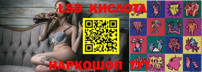 индика Можга