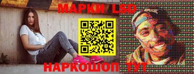 индика Можга