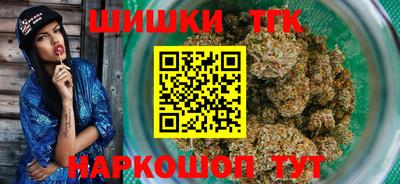 индика Можга
