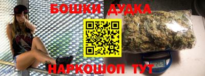 индика Можга