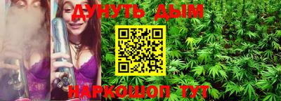 индика Можга