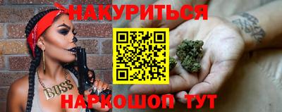 индика Можга