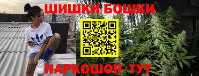 индика Можга