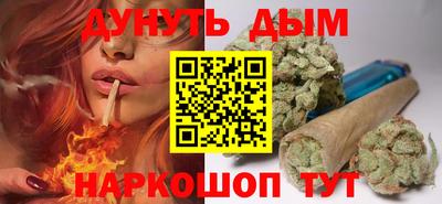индика Можга