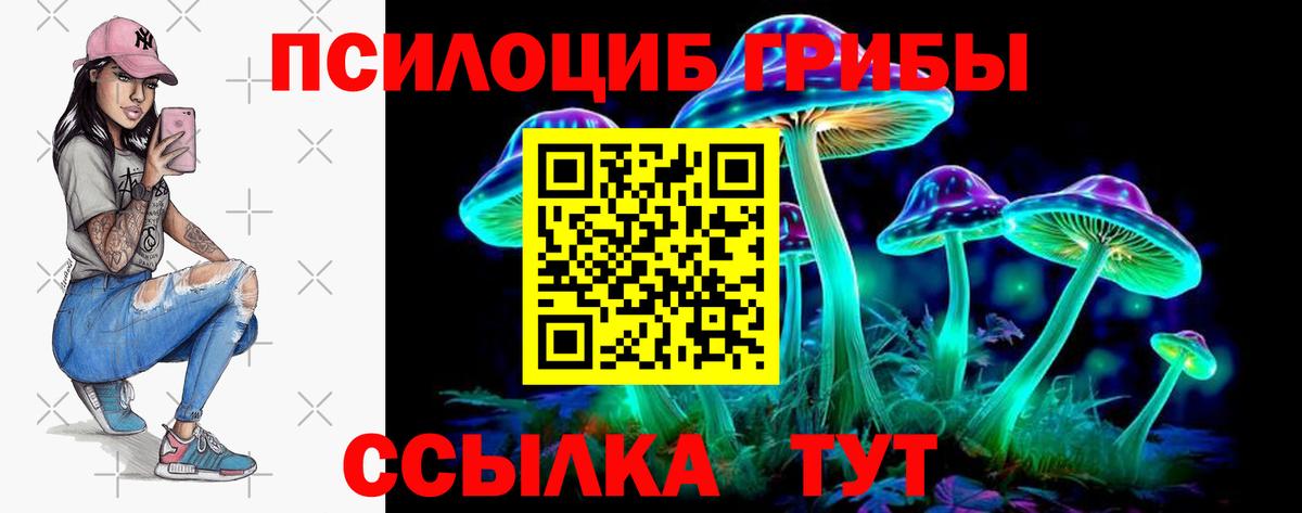 Грязи  Галлюциногенные грибы мицелий  Вход с VPN  Псилоцибиновые грибы прущие грибы 