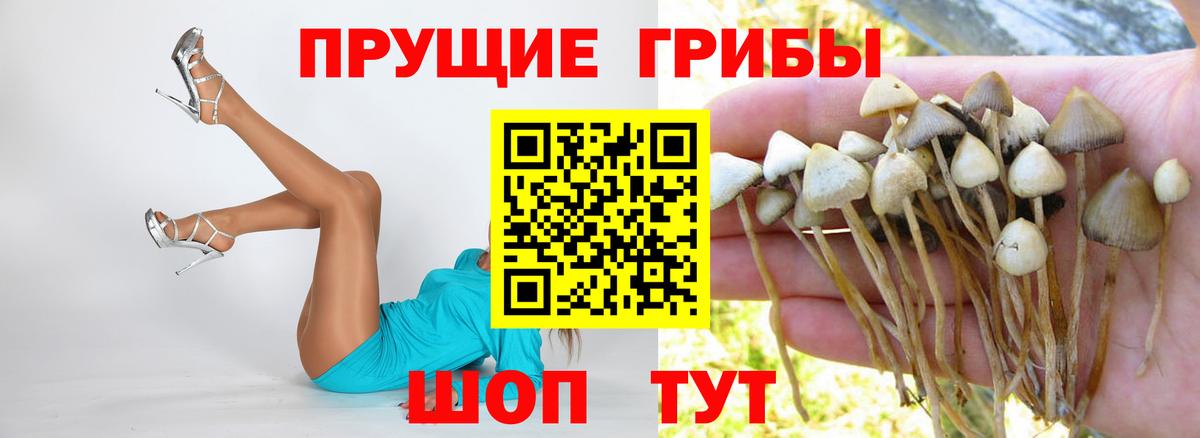 Галлюциногенные грибы мицелий Грязи